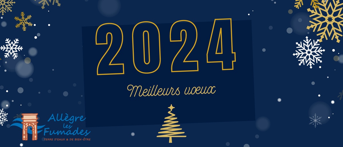 Actualités Meilleurs voeux pour 2024 Actualité illiwap de